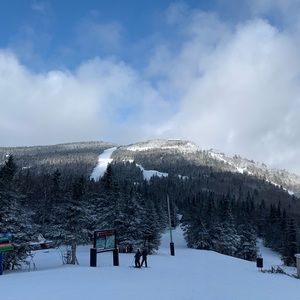 Meet your Posher, Lindsay